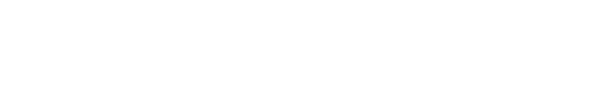 The AI Leadership Advisory